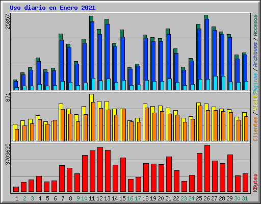 Uso diario en Enero 2021