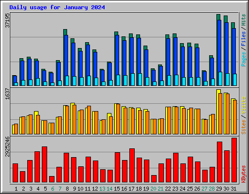 Daily usage for January 2024