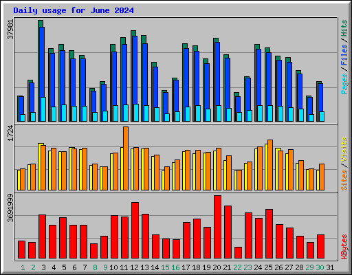 Daily usage for June 2024