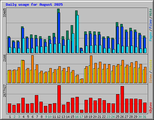 Daily usage for August 2025