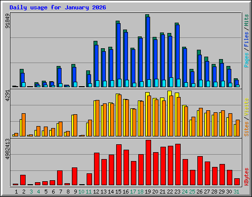 Daily usage for January 2026