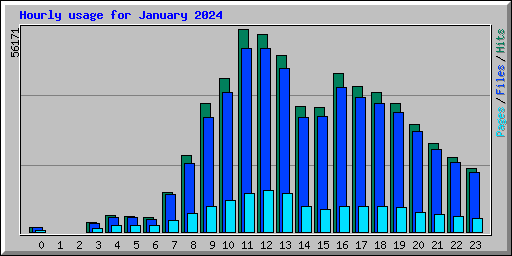 Hourly usage for January 2024