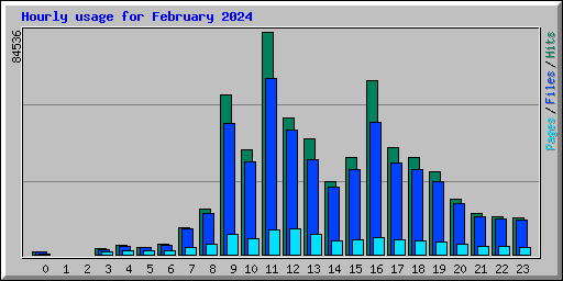 Hourly usage for February 2024