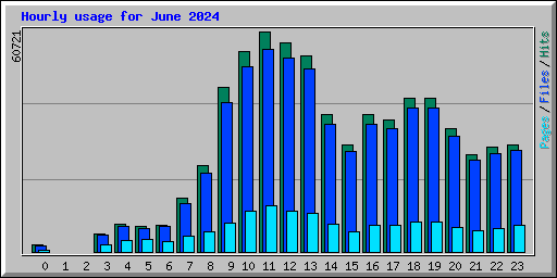 Hourly usage for June 2024