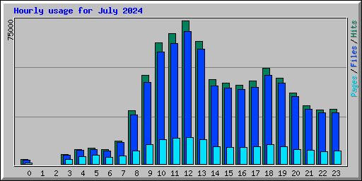 Hourly usage for July 2024