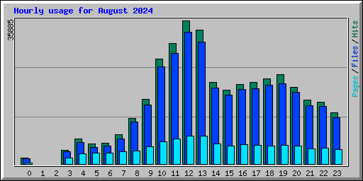 Hourly usage for August 2024