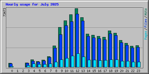 Hourly usage for July 2025