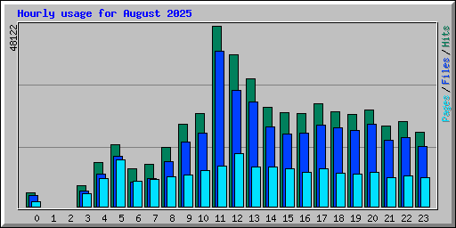 Hourly usage for August 2025