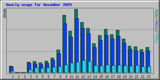 Hourly usage for December 2025