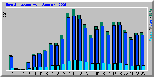 Hourly usage for January 2026